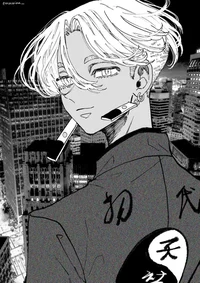 Поднебесье 