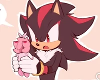 Shadow The Hedgehog