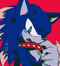 --SONIC T WEREHOG--