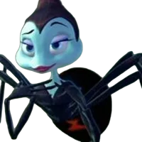 Rosie The Black Wido