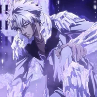 Hitsugaya Toshiro 