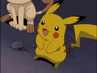 Pikatwo 