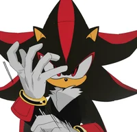 Shadow Best Friend