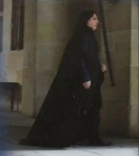 Severus Tobias snape