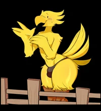 Chocobo