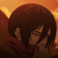 Mikasa ackerman