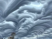 Undulatus