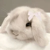 Bunni