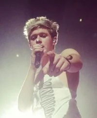 Niall Horan-2013