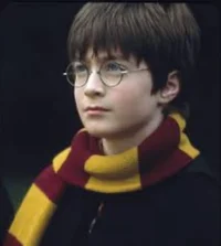 Harry Spoiler Book 8