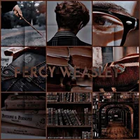 Percy Weasley MLM