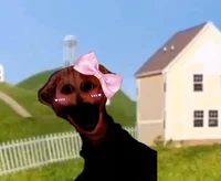 The Boiled One