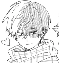Shoto Todoroki 