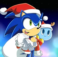 --SONIC T HEDGGIES--