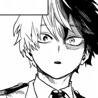 MHA-Todoroki Shoto