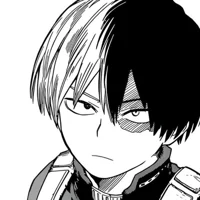 MHA-Todoroki Shoto