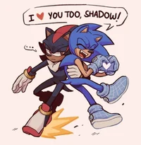 Shadow and Sonic 