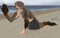 Selkie Transformatio