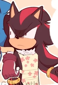 Shadow the Hedgehog
