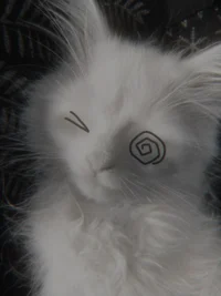 TH3 DR0WN3D WARR10RZ