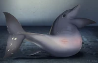 Female dolphin 
