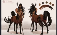 Nordic Centaur bl
