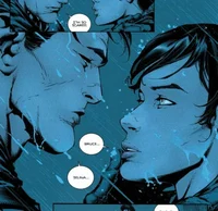 Bruce and Selina 