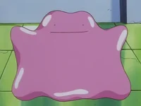 Ditto