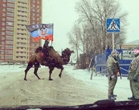 Donbas war