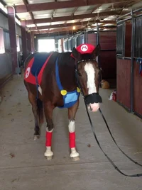 Horse Mario
