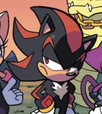 Shadow the Hedgehog