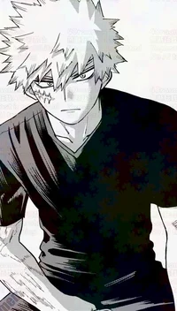 Katsuki Bakugou 