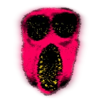 Ambush WikipediaTest