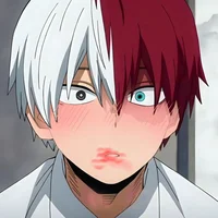 014- Shoto Todoroki 