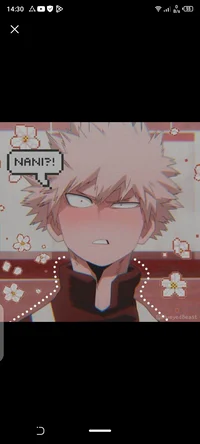 katsuki bakugo