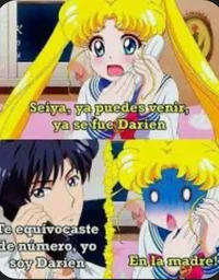 Sailor moon memes