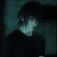 Noctis Lucis Caelum