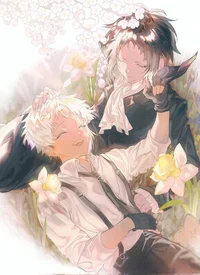 Шинсоукоку