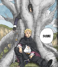 Sasuke and Boruto