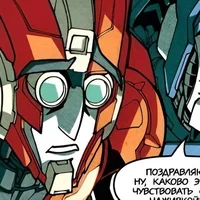 Rung