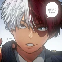 Shoto todoroki 