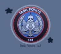 Task Force 141
