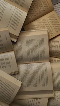 Bully Romance STH Au