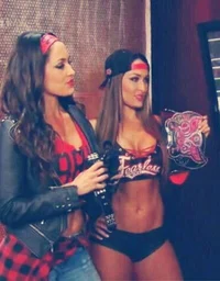 The Bella Twins