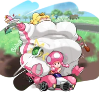 Mario Kart Wide Load