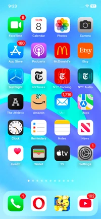 iOS 19