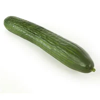 - Cucumber -