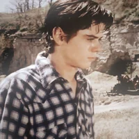 Ponyboy Curtis