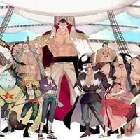 Whitebeard pirates 