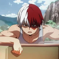 Shoto Todoroki